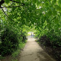 Входим в лето! :: Мария Васильева