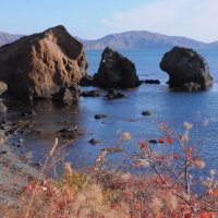 Лягушачья бухта :: Николай Алексеенко