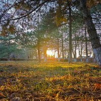 На закате. :: Сергей Гибков На закате. :: Сергей Гибков