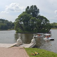 Птичий остров в Царицыне :: <<< Наташа >>>