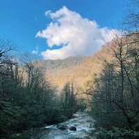 Река :: Георгиевич 