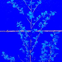 Назва. отсу. :: Денис Безногов