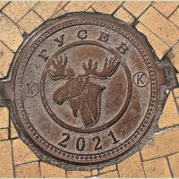 Крышка люка. :: Валерия Комова Крышка люка. :: Валерия Комова