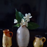 *** :: Валентина Береснева