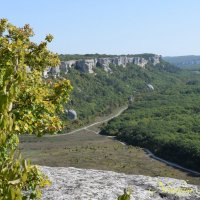 Природа Крыма :: Amazing Cosmea