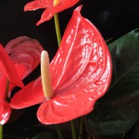 " :: Светлана Хращевская