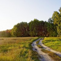 Дорога у озера :: Сергей Швечков