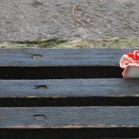 . :: Александр Хоменко