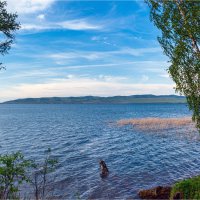 У озера, июнь... :: Алексей Мезенцев