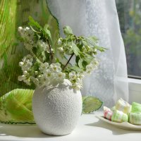 Боярышник :: Надежда Куркина 