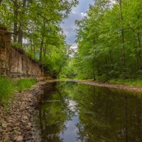 **** :: Елизавета .