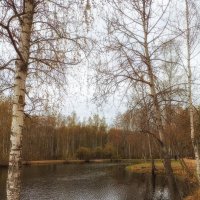 Парк Сосновка.Весенний пейзаж. :: Лилия *