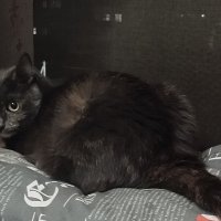 Чудесный вечер, и я согласна с этим. :: Валентса Левиль