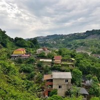 ПЛАСТУНКА-СОЧИ :: Tata Wolf