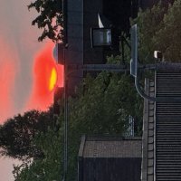 Прячется в доме) :: Анна Камс Прячется в доме) :: Анна Камс