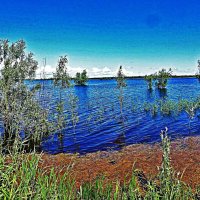 Июнь...Половодье на протоке Сырой Аган! :: Владимир 