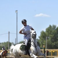 Грация и Красота! :: Александр Гриднев