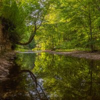 **** :: Елизавета .