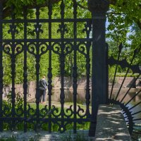 На светлой стороне :: Валерий