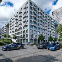 * :: Dmitry i Mary S