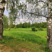 *** :: Денис Бочкарёв