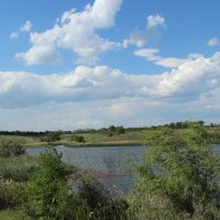 Местные виды. :: Виктор 