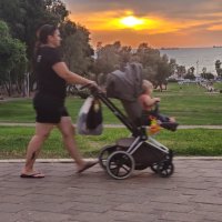 Наш парк вечером. :: Светлана Хращевская