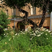 Лето в городе :: Oleg4618 Шутченко