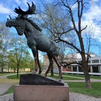 Лось. В сквере у библиотеки Алвара Аалто. :: Лия ☼