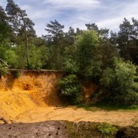 *** :: Николай Гирш