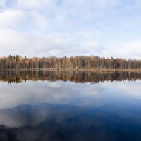 Щепкино болото. Панорама. :: Андрей Уткин