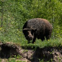 Привет! :: Андрей Уткин