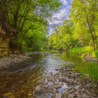 **** :: Елизавета .