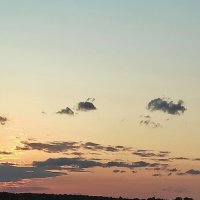 Лето :: Андрей 