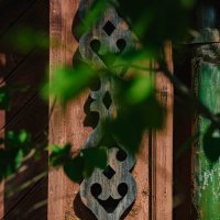 Суздаль. Июнь 2025 :: Вячеслав Владимирович Суздаль. Июнь 2025 :: Вячеслав Владимирович