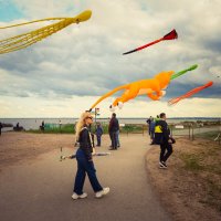 Летающий змей и не только... :: Магомед .