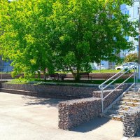 А у нас во дворе :: Василий 