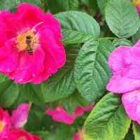 ,,, :: Сергей Тимоновский