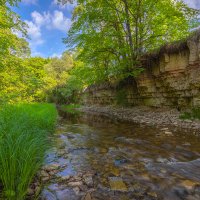 **** :: Елизавета .