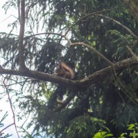 ___ :: Yuriy V ___ :: Yuriy V