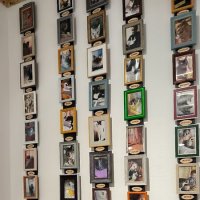 Выпускники Антошкиного кота. :: Ольга 