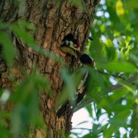 за маму... :: Виталий Емельянов за маму... :: Виталий Емельянов
