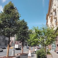 Окунись на Тверской в шум зелёных аллей :: Дмитрий Никитин
