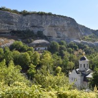 Природа Крыма :: Amazing Cosmea