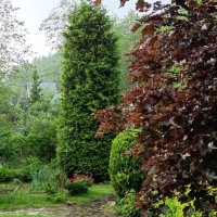 Утро грозовое. :: tatiana 