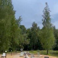 Подмосковное лето :: Ирэн 