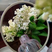 Отражение лета :: Ирина Отражение лета :: Ирина