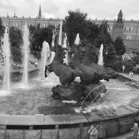 Лошади на Манежной площади :: Дмитрий Никитин Лошади на Манежной площади :: Дмитрий Никитин