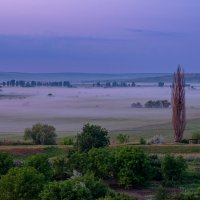 На рассвете... :: Светлана Фокша