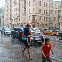 Летний дождь :: Наталья Rosenwasser